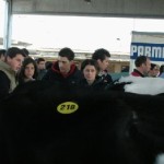 gli studenti Noé, Cabrini, Floris, Cesarini, Sporeni