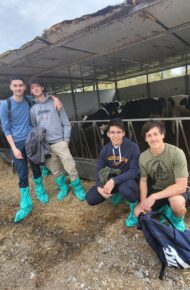 Visita all'allevamento di Zelo Buon Persico